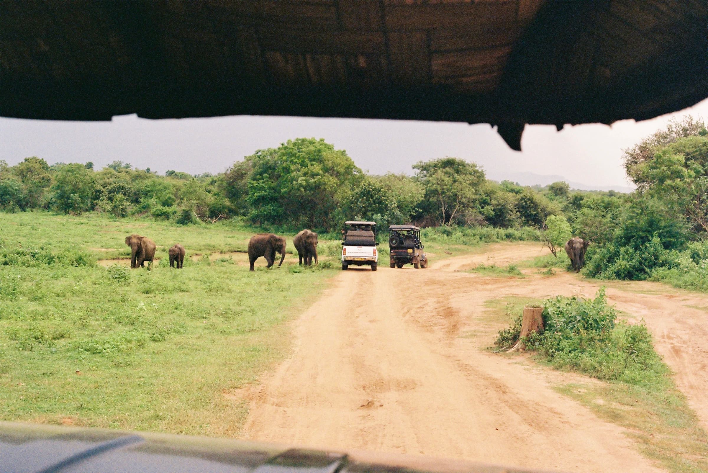 Yala, Sri Lanka